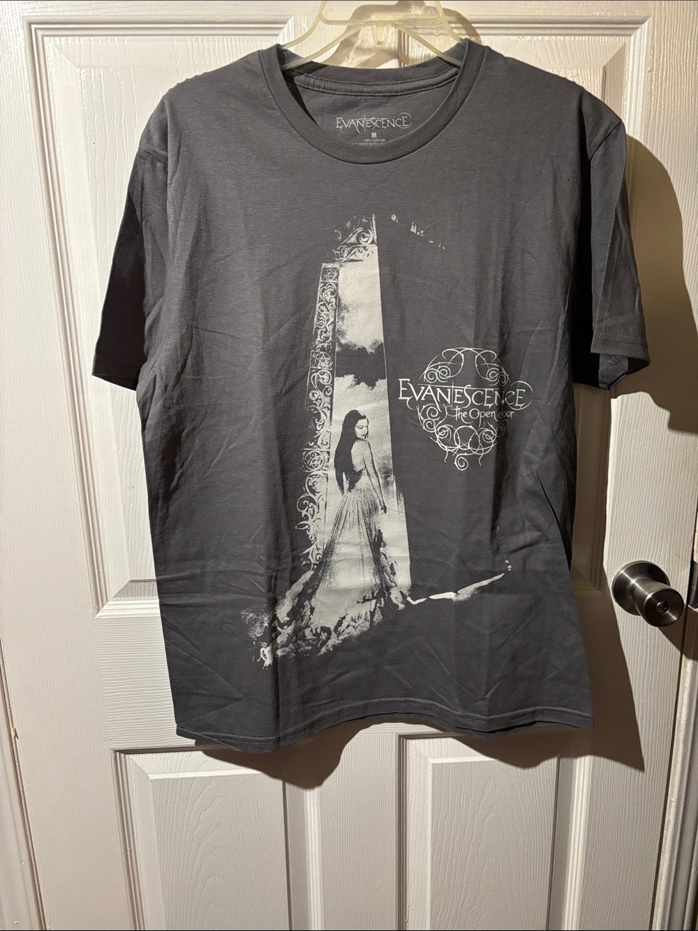 Evanescence Short-Sleeve Graphic Band Tee in Charcoal Gray